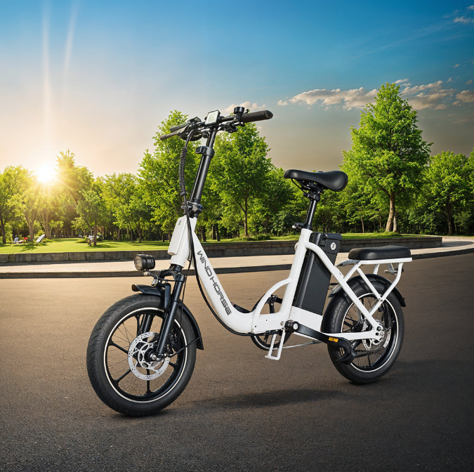 WindHorse W2 Carbon Alloy Foldable Ebike 48 V white