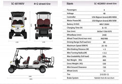 Green Rider Electric Golf Cart Golf Buggy 4+2 Seater by Mega wheels- DESIGN TXV