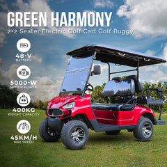 Green Rider Electric Golf Cart 2+2 Seater With Lithium Batteries By Gulf Buggy