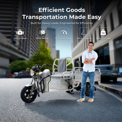 Electric scooters
