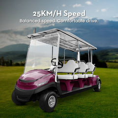 Electric golf cart