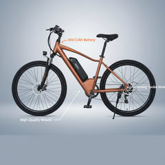 Kugoo City Rider EBike 36V 13AH Lithium 