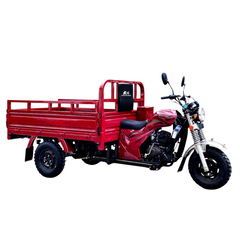 Megawheels Motorcycle Export Petrol Powered 200cc Cargo 3 Wheel Electric Scooter for Adults