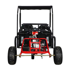 Back view engine and components UTV 125 CC Off Road Triton Buggy