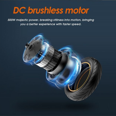 DC brushless motor 