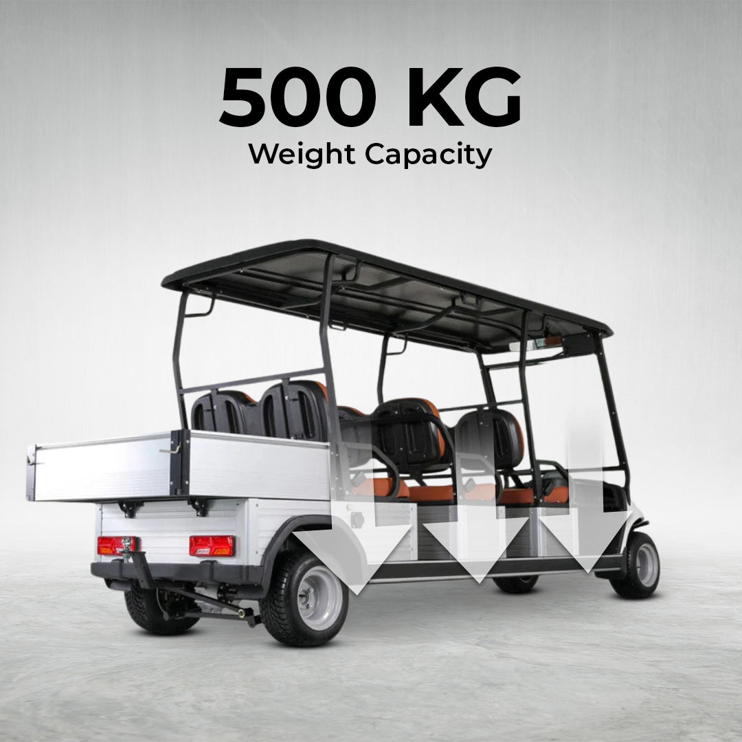 Club Golf Cart Seat Electric Golf Buggy With Cargo Box by Gulf Buggy