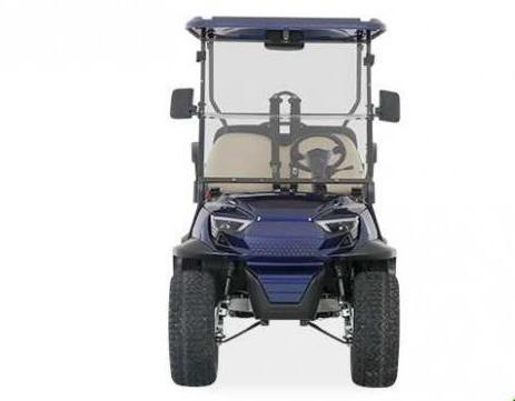 Royal golf cart golf cart