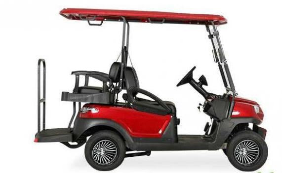 Royal Electric Golf Cart Golf Buggy's