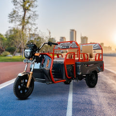 Megawheels Electric Passenger Cargo 48 v Hybrid Tricycle Series 2
