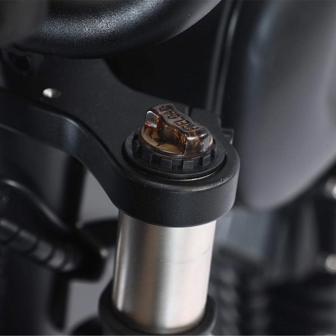 Megawheels Black Warrior Fat Harley Bike 48 V With Removable Lithium Battery