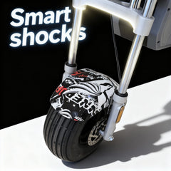Smart shock absorber on an Electric Bike
