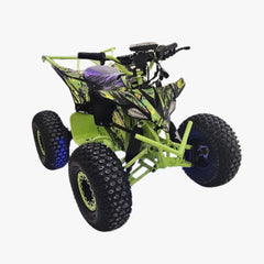 Stylish Green Nitron 48V 13Ah Electric ATV Power off Road Quad Bike
