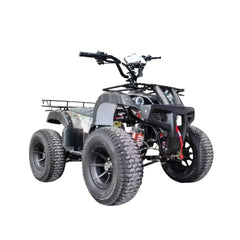 Electric Adult ATV Bike
