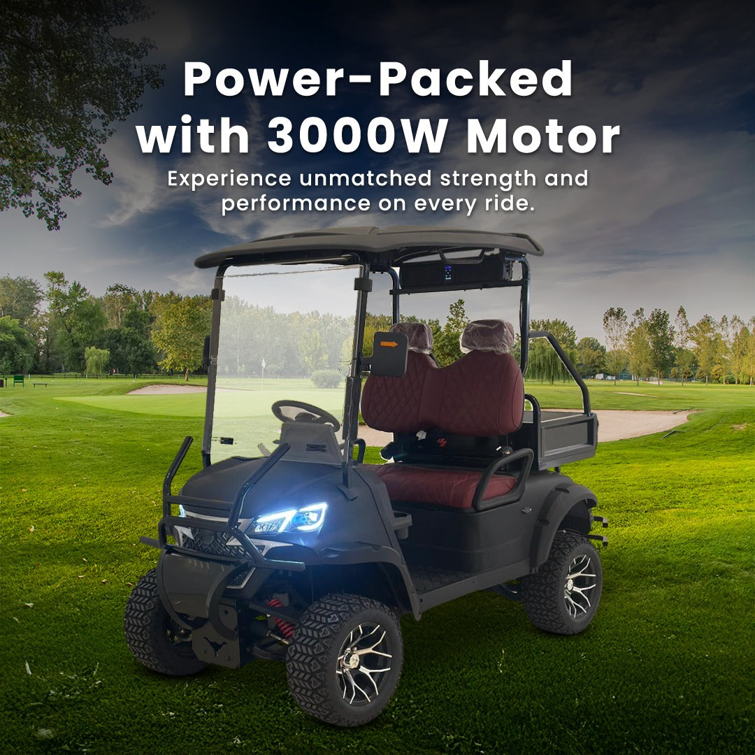 Megawheels VL Lifted Premium Golf Cart 2 Seaters With Utility Box by Gulf Buggy