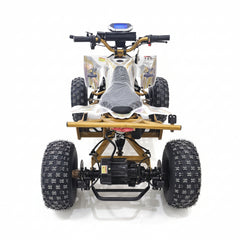 Nitron Electric ATV Power off Road Quad Bike