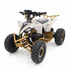 Front view of Gold and white ATV