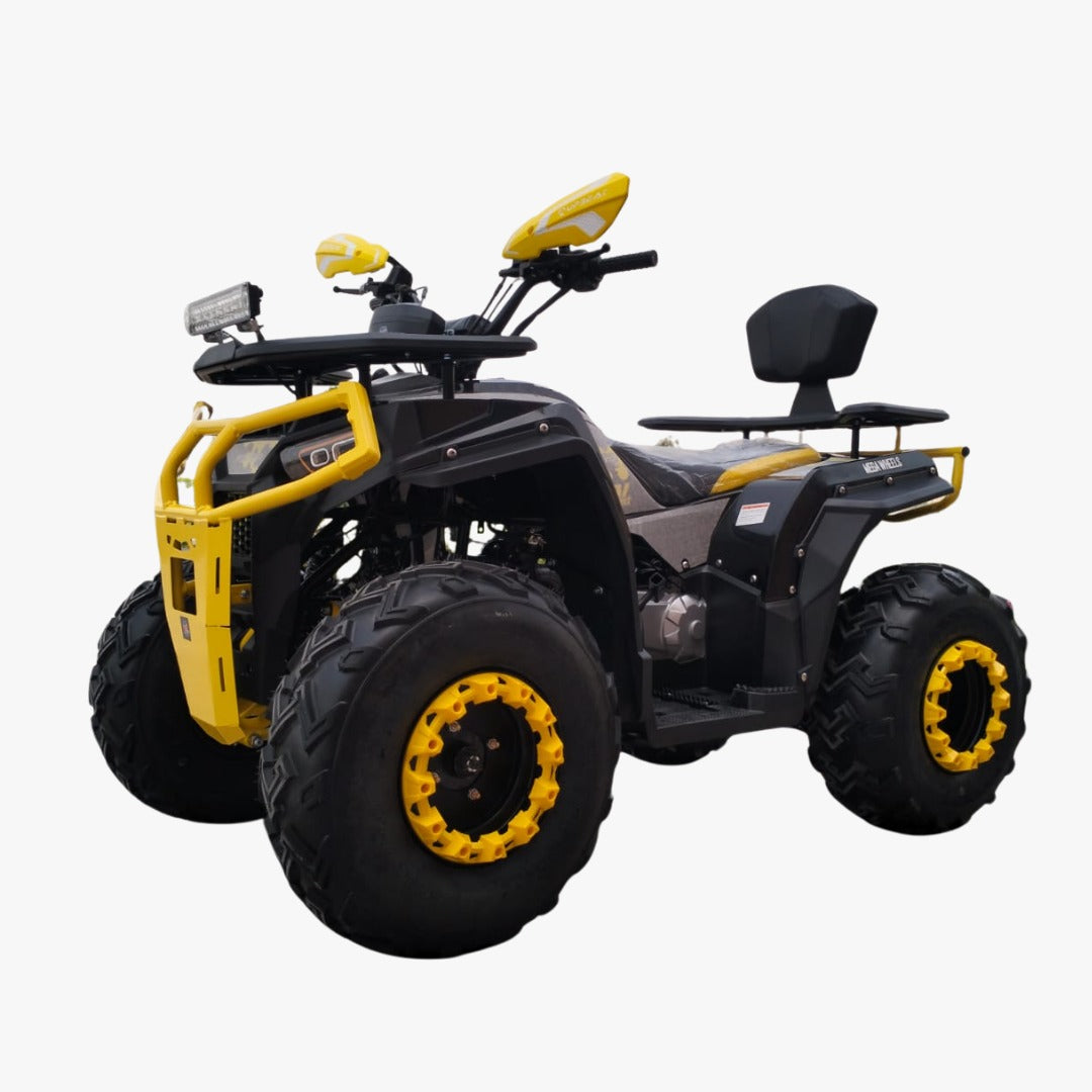 Off Road ATV Quad Bike