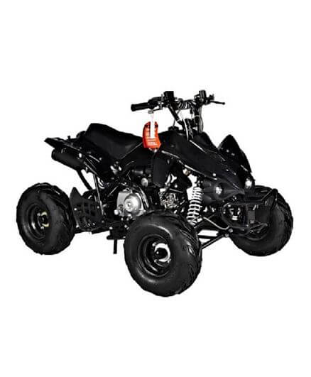 Mega Wheels 125 cc Panther Atv Quad Bike with Reverse/Without Reverse