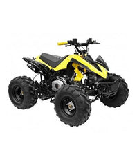 Mega Wheels 125 cc Panther Atv Quad Bike with Reverse/Without Reverse