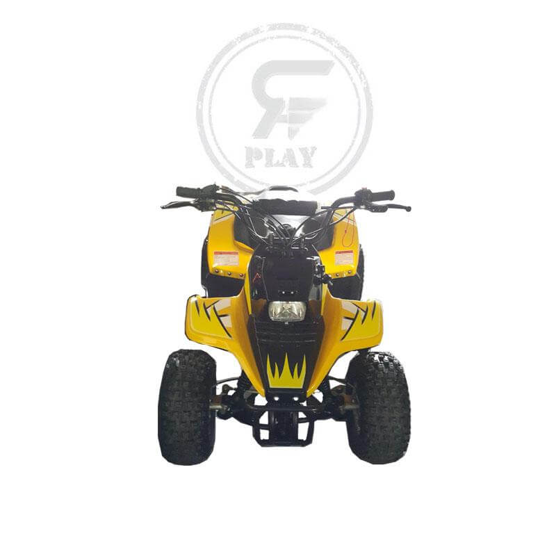 Megawheels 125 cc Stomper ATV quad Bike Power Drive