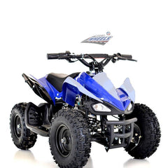 Blue 49CC Mini Quad Sports Bike