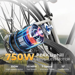 WindHorse F2 Electric Bike Motor