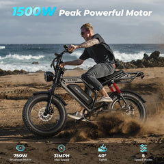 WindHorse V8 Pro 750W Fat Tire Electric Bike Motor 1500 watts